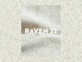 Materiał raven 22