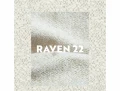 raven 22.jpg